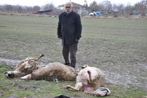 Afganistan'da radyo istasyonuna silahlı saldırı: 2 &ouml;l&uuml;