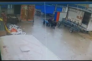 Bursa'da at arabalı hırsızlar kameraya yakalandı