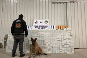 TIR'a 30 bin paket ka&ccedil;ak sigara ele ge&ccedil;irildi
