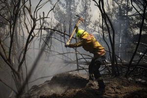 Yeni Zelanda'da orman yangınları söndürülemiyor