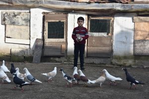 Bursa'da 7 yaşındaki Cemal'in güvercin sevgisi
