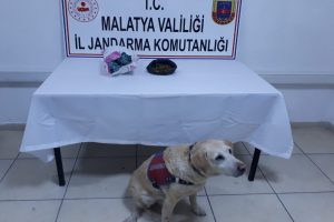 Malatya'da kaçakçılık ve uyuşturucu operasyonu: 3 gözaltı