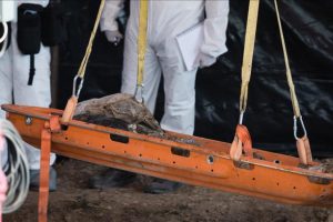 Meksika'da gizli mezarlarda 50 ceset bulundu