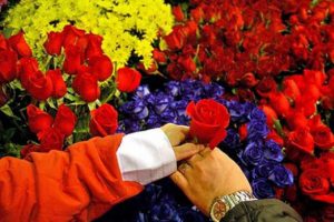 Çiçekçilerde 'Sevgililer Günü' heyecanı