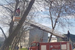 Bursa'da &ouml;ğrenciler kuşları "ev"lendirdi