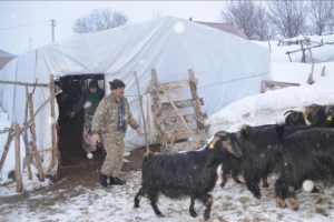 Besicilerin hayatı 12 ay naylon &ccedil;adırda ge&ccedil;iyor