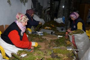 Ormandan toplayıp 20 &uuml;lkeye satıyor