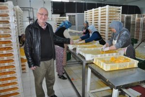 Sebze ve meyveler jeotermal enerji ile kurutuluyor