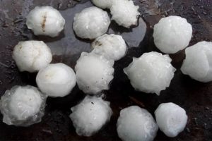 Bangladeş'te ceviz b&uuml;y&uuml;kl&uuml;ğ&uuml;nde dolu yağdı