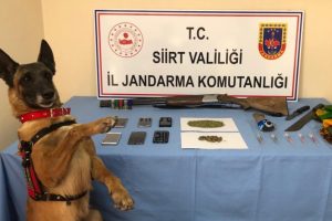 Siirt ve Batman'da narko-ter&ouml;r operasyonu: 7 g&ouml;zaltı