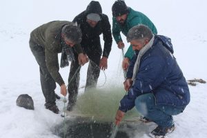 Buz tutan baraj balık&ccedil;ılara ekmek kapısı oldu