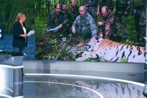 'Putin kaplan avladı' iddialı haberine 'palavra &ouml;d&uuml;l&uuml;'