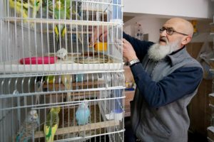 Hayvansever terzi 150 kuşunu &ccedil;ocuklarına vasiyet etti