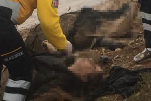 &Ouml;l&uuml; bulunan 3 kadınla ilgili soruşturma devam ediyor
