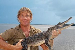 Trajik bir şekilde can vermişti... Google'ın doodle yaptığı "Timsah avcısı" Steve Irwin kimdir?