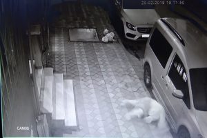 6.kattan d&uuml;şen kadın can verdi