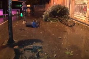 &Ouml;zel halk otob&uuml;s&uuml; kaza yaptı