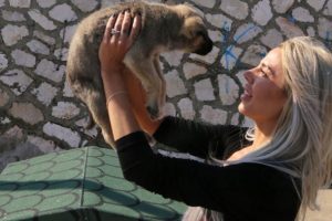 Sokak k&ouml;pekleri i&ccedil;in d&ouml;rt kıtadan yardım topladılar