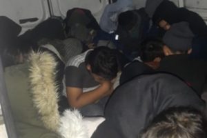 114 ka&ccedil;ak yakalandı, 11 organizat&ouml;r tutuklandı