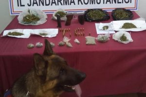 Jandarmadan eş zamanlı operasyon