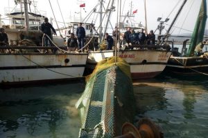 Balık ağına yat takıldı