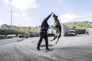 Cilveg&ouml;z&uuml;'n&uuml;n 'dedekt&ouml;r k&ouml;pekleri' kuş u&ccedil;urtmuyor