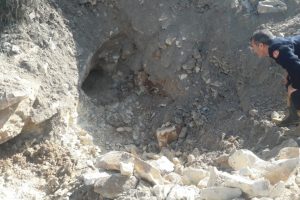 Kayalıklara sıkışan k&ouml;pek kurtarıldı