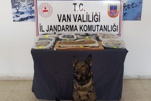Dolap kapağının i&ccedil;ine saklanmış halde bulundu