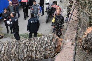 Dehşet anları! 'Ses duydum, bir baktım &uuml;zerime geliyor'