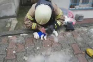 İtfaiye eri dumandan etkilenen k&ouml;peği hayata d&ouml;nd&uuml;rmek i&ccedil;in m&uuml;cadele verdi