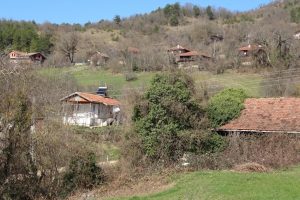 4 k&ouml;yde 32 eve girip ne varsa &ccedil;aldılar