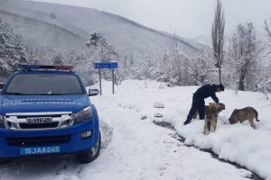Bursa'da Mehmet&ccedil;ik a&ccedil; hayvanları unutmadı