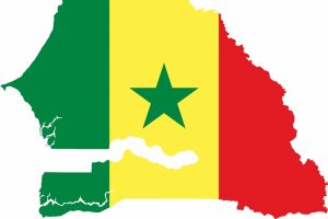 Senegal'de Sall yeniden cumhurbaşkanı se&ccedil;ildi