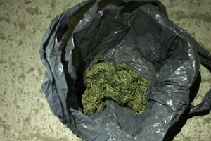 Jandarmadan uyuşturucu operasyonu
