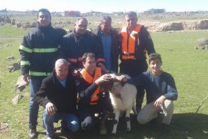Mahsur kalan kuzu i&ccedil;in seferber oldular