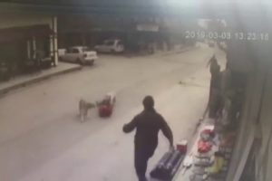 K&ouml;peklerin saldırısına uğrayan &ccedil;ocuğu esnaf kurtardı