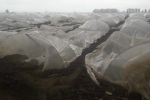 Yine oldu... B&uuml;y&uuml;k korku ve panik yaşandı