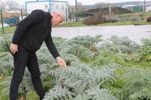 Bursa'da unutulan yerli tohumları yeniden &uuml;retiyorlar