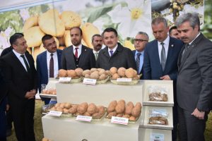 Bakan Pakdemirli: Taraftar patateslerimiz de piyasaya &ccedil;ıkabilecek