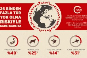 26 bin canlı tehdit altında