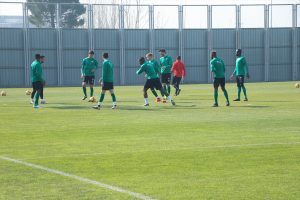 Timsah Ankarag&uuml;c&uuml;'ne hazırlanıyor
