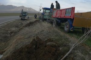 İl &Ouml;zel İdaresi desteğiyle 500 adet ağa&ccedil; dikildi