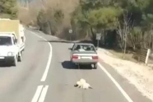 O g&ouml;r&uuml;nt&uuml;ler sonrası harekete ge&ccedil;ildi!