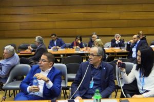 Ter&ouml;r &ouml;rg&uuml;t&uuml; temsilcileri BM binasında konuşturuldu