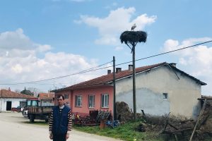 &Ccedil;anakkale'de ilk leylek yuvaya kondu