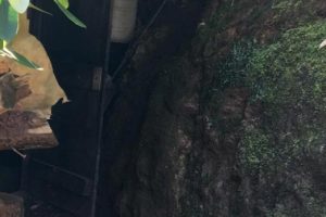 Artvin'de yer altında imalathane yapmışlar!