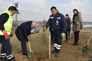 T&uuml;rkmenli G&ouml;leti havzasına bin 200 fidan dikildi