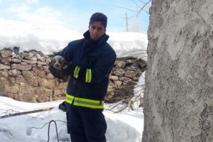 Van'da k&ouml;pek kurtarma operasyonu