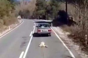 B&uuml;y&uuml;k tepki &ccedil;ekmişti! O cani hakkında flaş karar