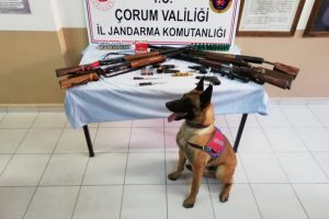 Jandarmadan silah ka&ccedil;ak&ccedil;ılarına y&ouml;nelik operasyon